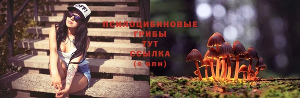 твердый Верея