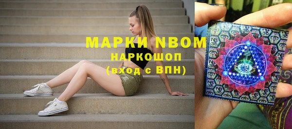 индика Верхнеуральск