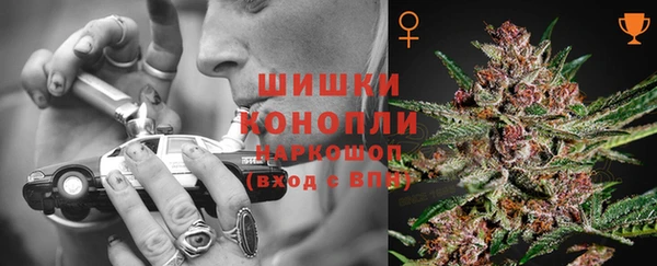индика Верхнеуральск